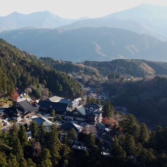 Exclusive AreaRental